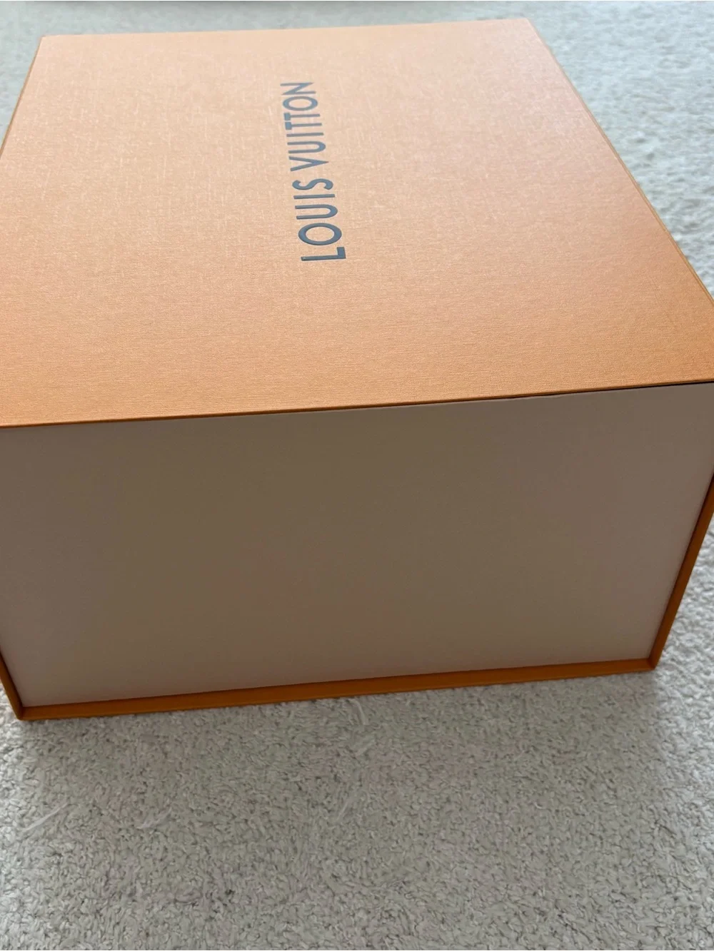 Louis Vuitton classic louis